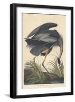 Great Blue Heron-John James Audubon-Framed Premium Giclee Print