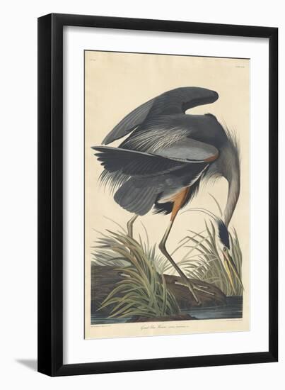 Great Blue Heron-John James Audubon-Framed Giclee Print