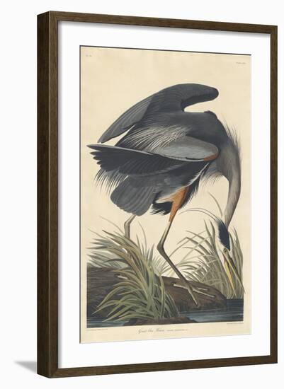 Great Blue Heron-John James Audubon-Framed Giclee Print