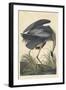 Great Blue Heron-John James Audubon-Framed Giclee Print