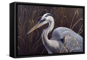 Great Blue Heron-Wilhelm Goebel-Framed Stretched Canvas