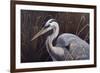 Great Blue Heron-Wilhelm Goebel-Framed Giclee Print