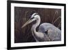 Great Blue Heron-Wilhelm Goebel-Framed Giclee Print