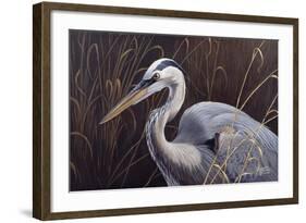 Great Blue Heron-Wilhelm Goebel-Framed Giclee Print