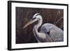 Great Blue Heron-Wilhelm Goebel-Framed Giclee Print