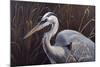 Great Blue Heron-Wilhelm Goebel-Mounted Giclee Print