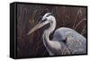 Great Blue Heron-Wilhelm Goebel-Framed Stretched Canvas