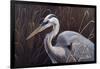 Great Blue Heron-Wilhelm Goebel-Framed Giclee Print