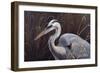 Great Blue Heron-Wilhelm Goebel-Framed Giclee Print