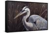 Great Blue Heron-Wilhelm Goebel-Framed Stretched Canvas