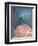 Great Blue Heron-David Alan Redpath Michie-Framed Giclee Print