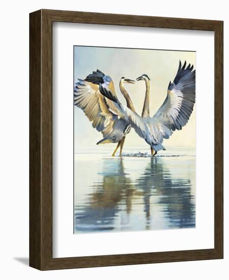 Great Blue Herons-Max Hayslette-Framed Giclee Print