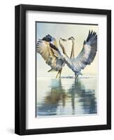 Great Blue Herons-Max Hayslette-Framed Giclee Print