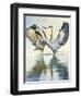 Great Blue Herons-Max Hayslette-Framed Giclee Print