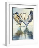 Great Blue Herons-Max Hayslette-Framed Giclee Print