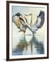 Great Blue Herons-Max Hayslette-Framed Giclee Print