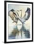 Great Blue Herons-Max Hayslette-Framed Giclee Print