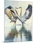 Great Blue Herons-Max Hayslette-Mounted Giclee Print