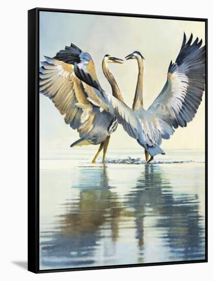 Great Blue Herons-Max Hayslette-Framed Stretched Canvas