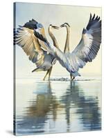 Great Blue Herons-Max Hayslette-Stretched Canvas