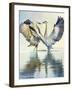 Great Blue Herons-Max Hayslette-Framed Giclee Print