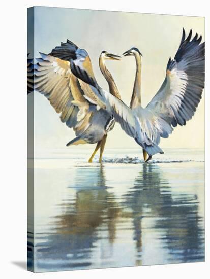 Great Blue Herons-Max Hayslette-Stretched Canvas