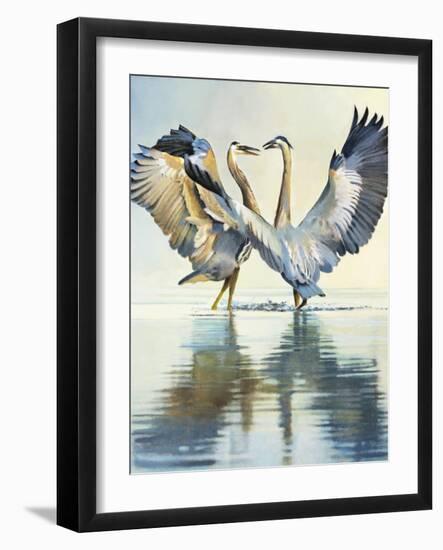 Great Blue Herons-Max Hayslette-Framed Giclee Print