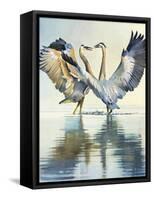 Great Blue Herons-Max Hayslette-Framed Stretched Canvas