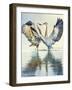Great Blue Herons-Max Hayslette-Framed Premium Giclee Print