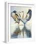 Great Blue Herons-Max Hayslette-Framed Premium Giclee Print