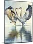 Great Blue Herons-Max Hayslette-Mounted Premium Giclee Print