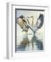 Great Blue Herons-Max Hayslette-Framed Premium Giclee Print