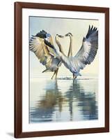 Great Blue Herons-Max Hayslette-Framed Giclee Print