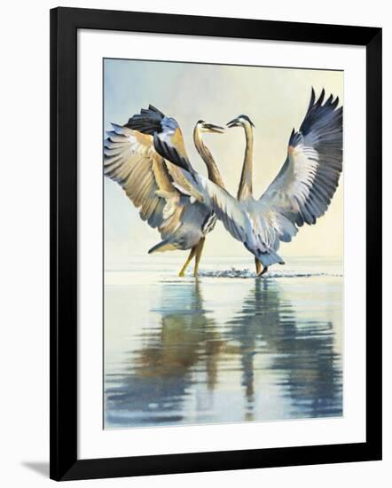 Great Blue Herons-Max Hayslette-Framed Giclee Print