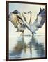 Great Blue Herons-Max Hayslette-Framed Giclee Print