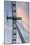 Great Britain, London. Close-up of London Eye Ferris Wheel-Bill Young-Mounted Photographic Print