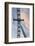 Great Britain, London. Close-up of London Eye Ferris Wheel-Bill Young-Framed Photographic Print