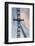 Great Britain, London. Close-up of London Eye Ferris Wheel-Bill Young-Framed Photographic Print