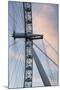 Great Britain, London. Close-up of London Eye Ferris Wheel-Bill Young-Mounted Photographic Print