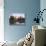Great Britain, Scotland, Grampian Mountains, Loch Linnhe, Ben Nevis-Thonig-Stretched Canvas displayed on a wall
