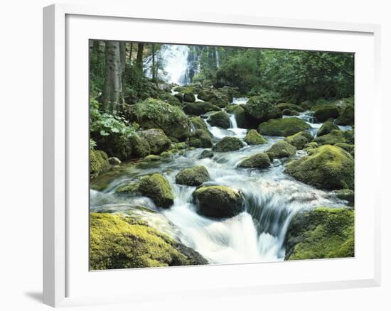 Great Britain, Scotland, Hebrides, Island Skye, Tarskavaig, Cuillin Hills-Thonig-Framed Photographic Print