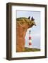 Great Britain, Scotland, Tarbat Ness, Lighthouse, Rock, Man, Dog, Sit-Rainer Mirau-Framed Photographic Print