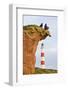Great Britain, Scotland, Tarbat Ness, Lighthouse, Rock, Man, Dog, Sit-Rainer Mirau-Framed Photographic Print