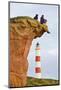 Great Britain, Scotland, Tarbat Ness, Lighthouse, Rock, Man, Dog, Sit-Rainer Mirau-Mounted Photographic Print