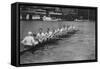 Great Britain, Silver Medallists in the Eights at the 1928 Amsterdam Olympi-Bushells of Henley-Framed Stretched Canvas