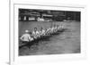 Great Britain, Silver Medallists in the Eights at the 1928 Amsterdam Olympi-Bushells of Henley-Framed Photographic Print