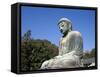 Great Buddha (Daibutsu), Kamakura, Honshu, Japan-null-Framed Stretched Canvas