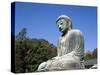 Great Buddha (Daibutsu), Kamakura, Honshu, Japan-null-Stretched Canvas