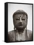 Great Buddha (Daibutsu), Kamakura, Tokyo, Japan-Jon Arnold-Framed Stretched Canvas