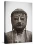 Great Buddha (Daibutsu), Kamakura, Tokyo, Japan-Jon Arnold-Stretched Canvas